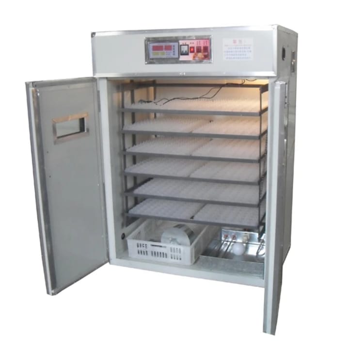 Egg incubator